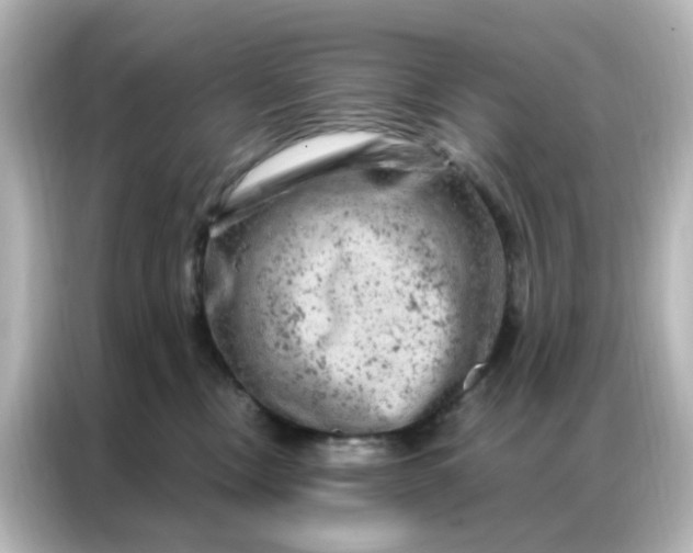 X0000087000378200704301402