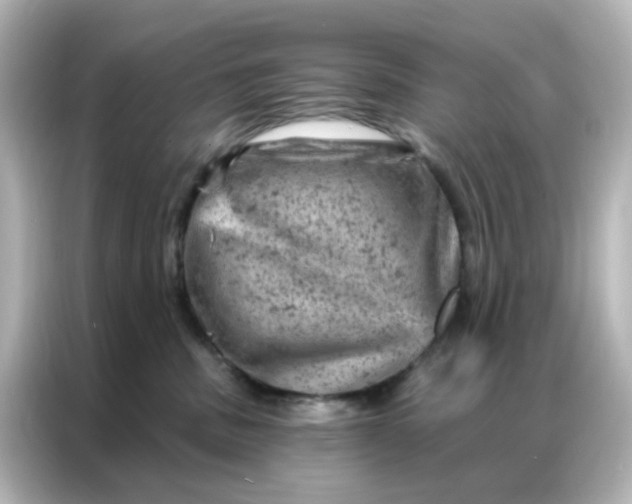 X0000087000379200704301402