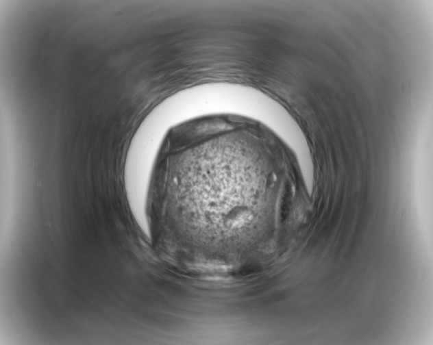 X0000087000380200704301402