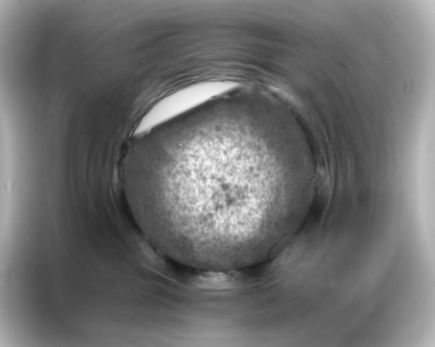 X0000087000381200704301402