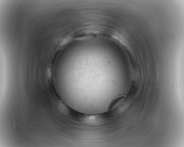 X0000087000382200704301402