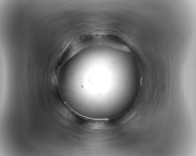 X0000087000384200704301403
