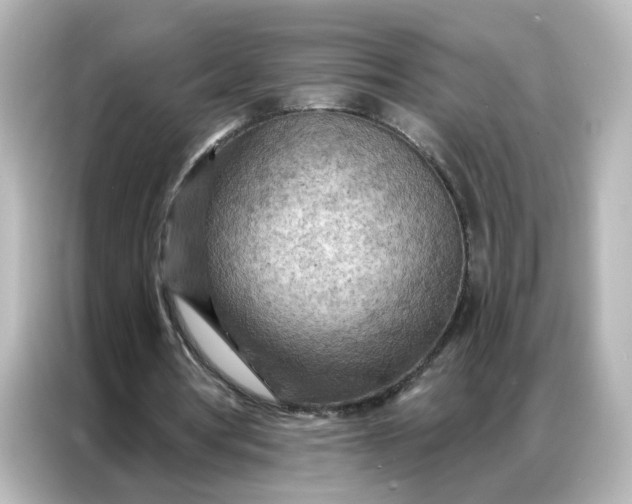X0000087000386200704301402