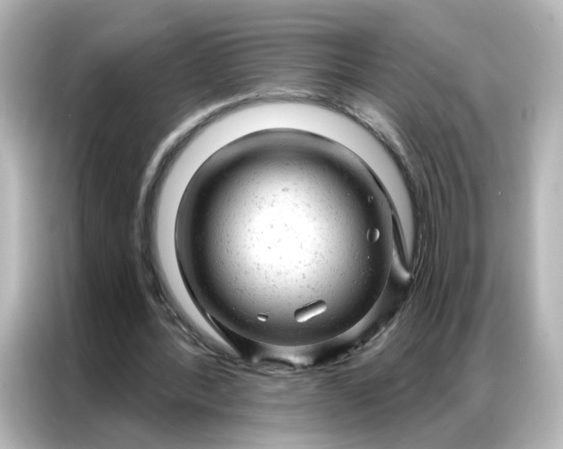 X0000087000388200704301402