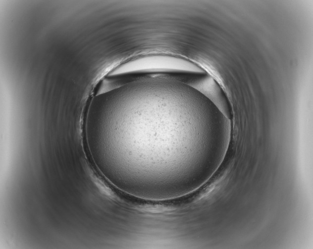 X0000087000389200704301402
