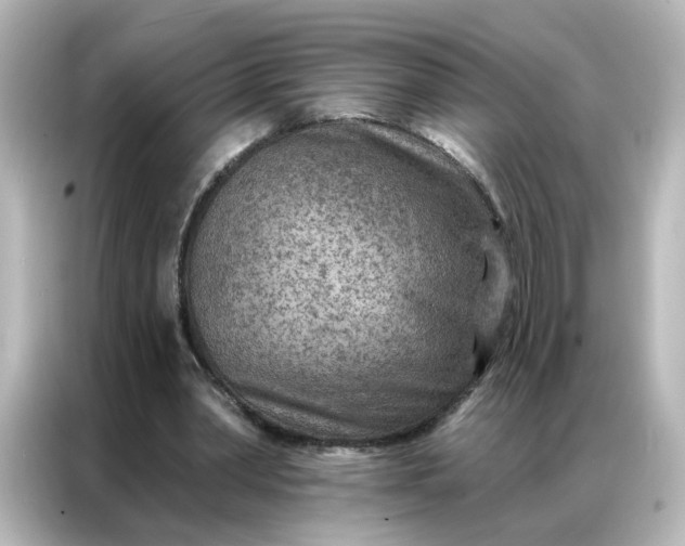 X0000087000390200704301402