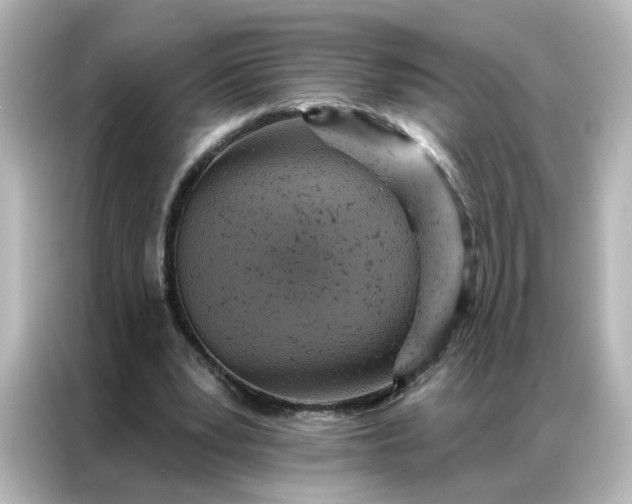 X0000087000391200704301402