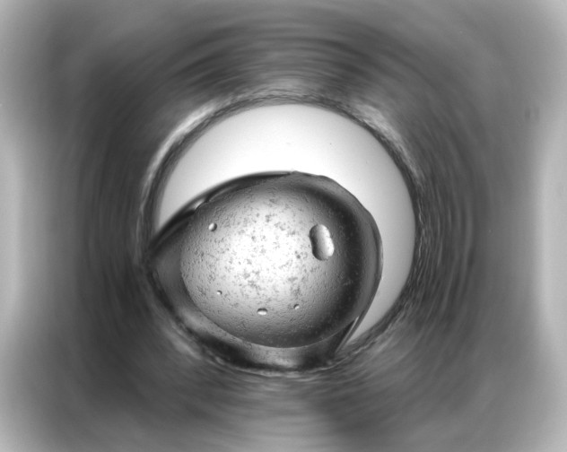 X0000087000392200704301402