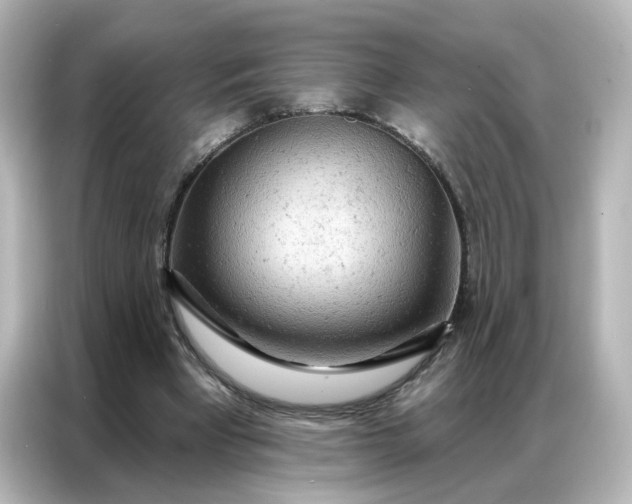 X0000087000393200704301402
