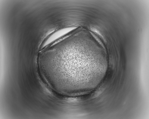 X0000087000394200704301402