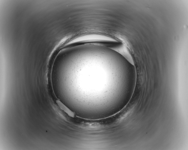 X0000087000395200704301402