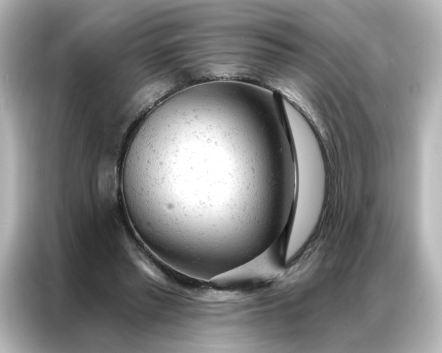 X0000087000397200704301402
