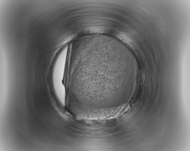 X0000087000398200704301402