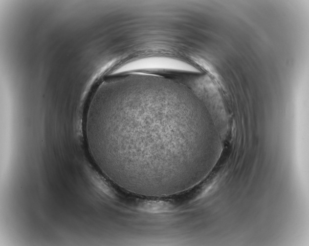 X0000087000399200704301402