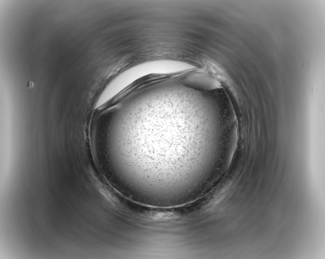 X0000087000401200704301402