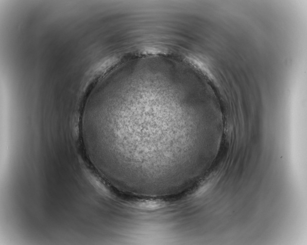X0000087000402200704301402
