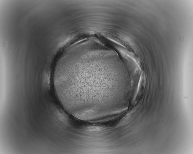 X0000087000404200704301402