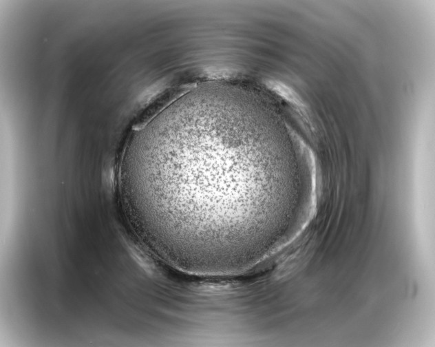 X0000087000405200704301402