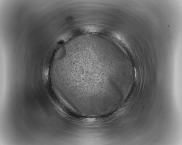 X0000087000406200704301402