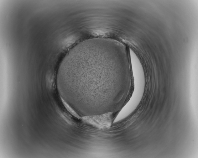 X0000087000408200704301402