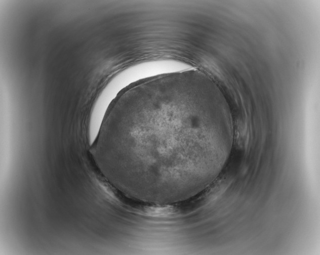 X0000087000410200704301402