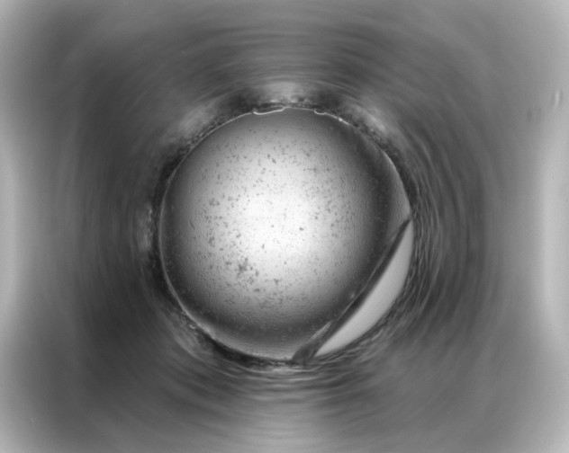 X0000087000413200704301402