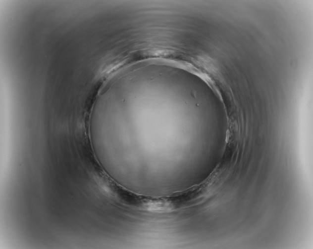 X0000087000415200704301401