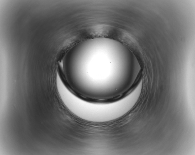 X0000087000416200704301401