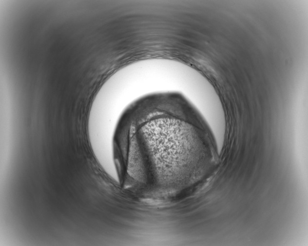 X0000087000417200704301401