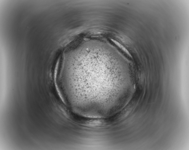 X0000087000418200704301401