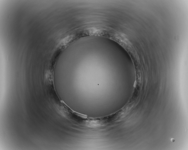 X0000087000419200704301401