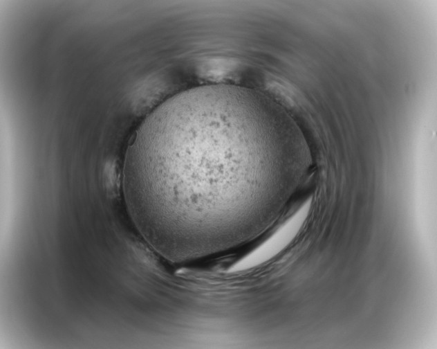 X0000087000420200704301401