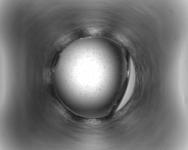 X0000087000421200704301401
