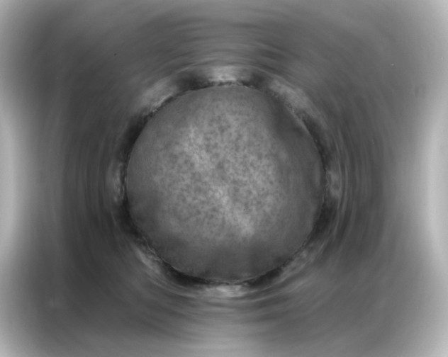 X0000087000422200704301401