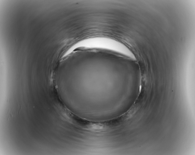 X0000087000423200704301401