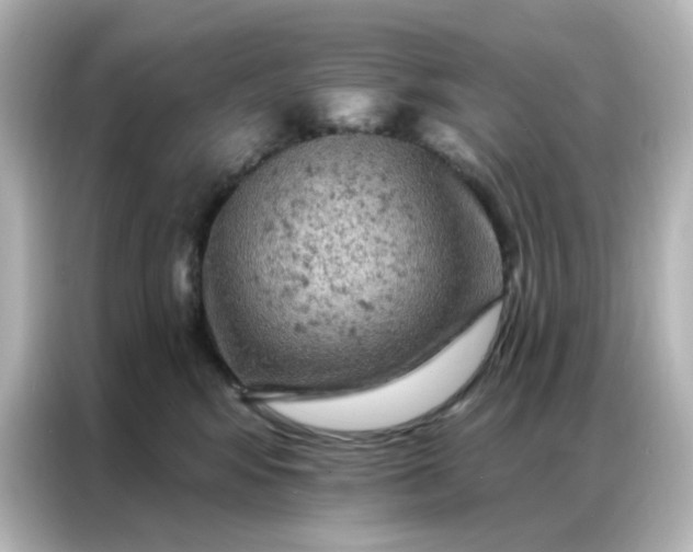 X0000087000424200704301401