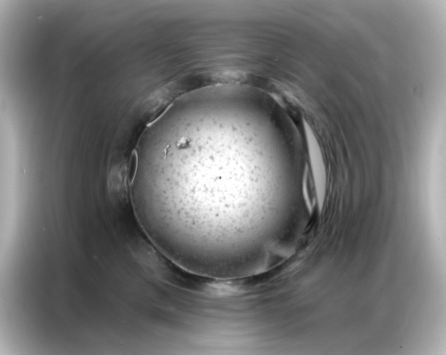 X0000087000425200704301401