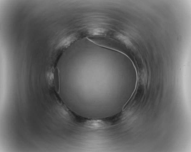X0000087000427200704301401