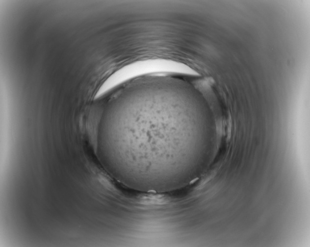X0000087000428200704301401