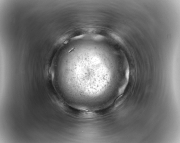 X0000087000429200704301401
