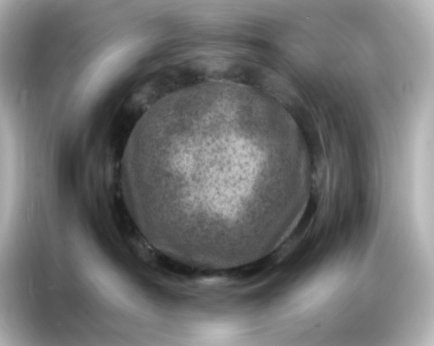 X0000087000430200704301401