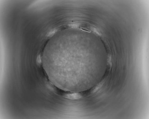 X0000087000431200704301401