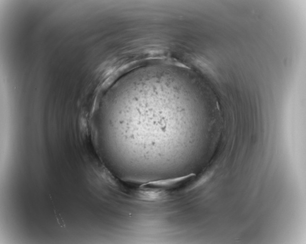 X0000087000432200704301401