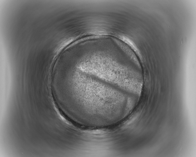 X0000087000433200704301401