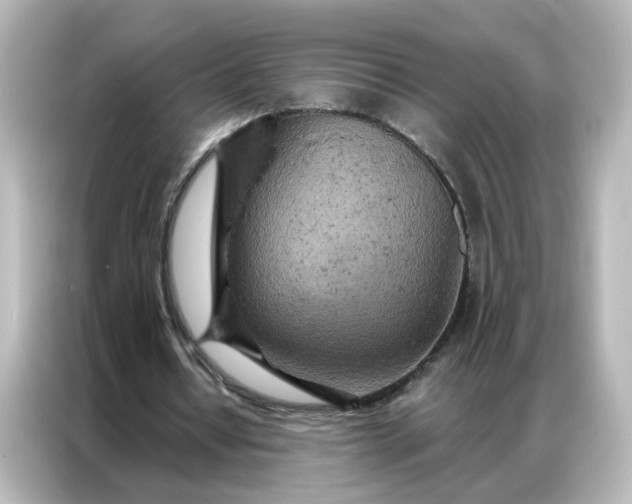 X0000087000434200704301401