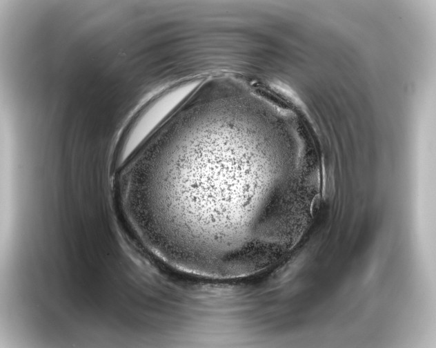 X0000087000435200704301401