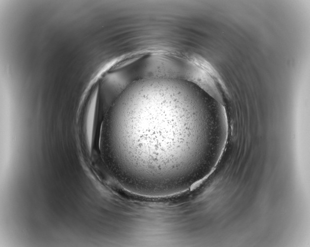 X0000087000436200704301401