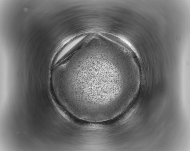 X0000087000437200704301401