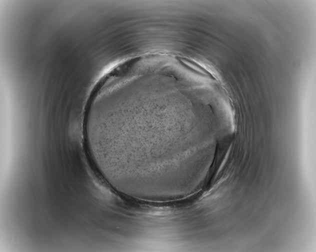 X0000087000438200704301401