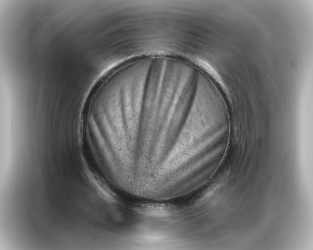 X0000087000439200704301401